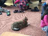 2019-05-22 Den domcch mazl?k?